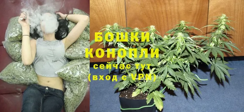 Бошки марихуана OG Kush  MEGA зеркало  Петровск-Забайкальский  купить наркоту 